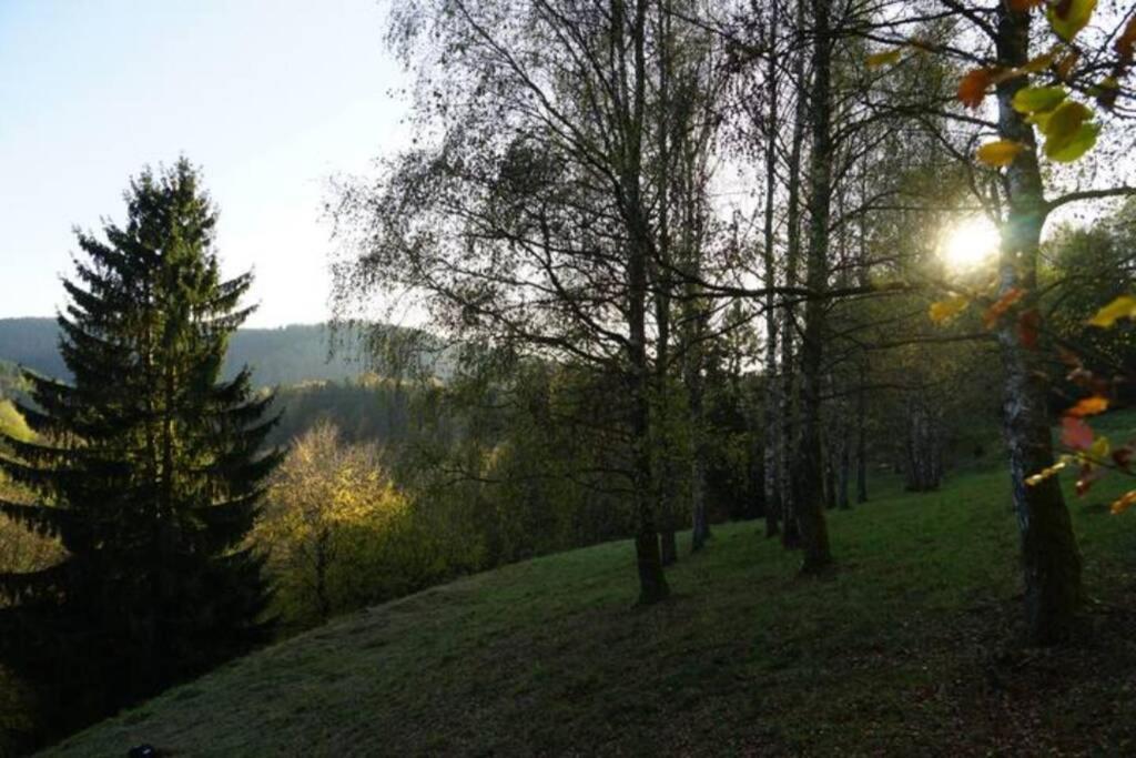 Ruhiges Ferienhaus Am Waldrand Mit Sauna Und Kamin - Hellaberg II Langenbach  Εξωτερικό φωτογραφία