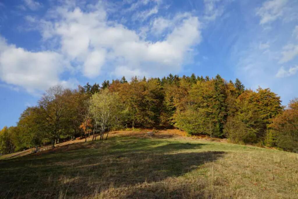 Ruhiges Ferienhaus Am Waldrand Mit Sauna Und Kamin - Hellaberg II Langenbach  Εξωτερικό φωτογραφία