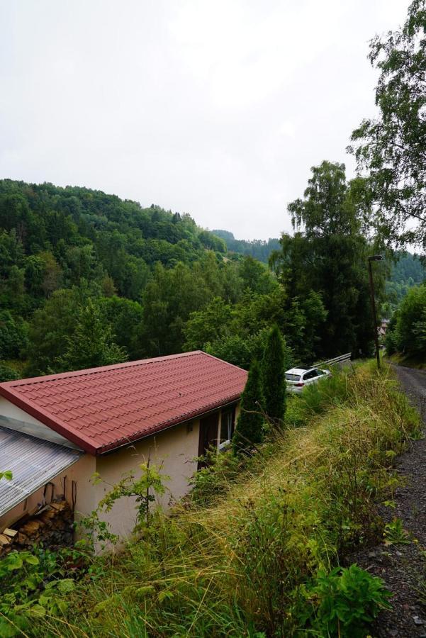 Ruhiges Ferienhaus Am Waldrand Mit Sauna Und Kamin - Hellaberg II Langenbach  Εξωτερικό φωτογραφία